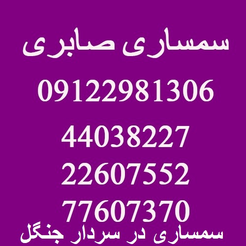 سمساری در سردار جنگل تهران