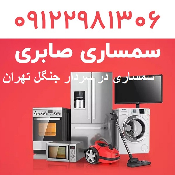 سمساری در سردار جنگل تهران