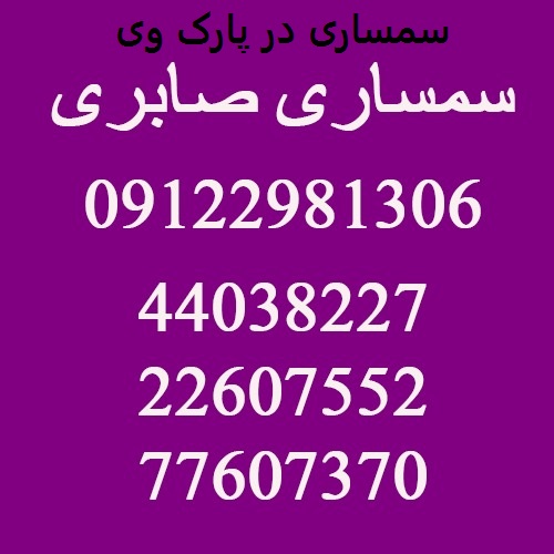 سمساری در پارک وی