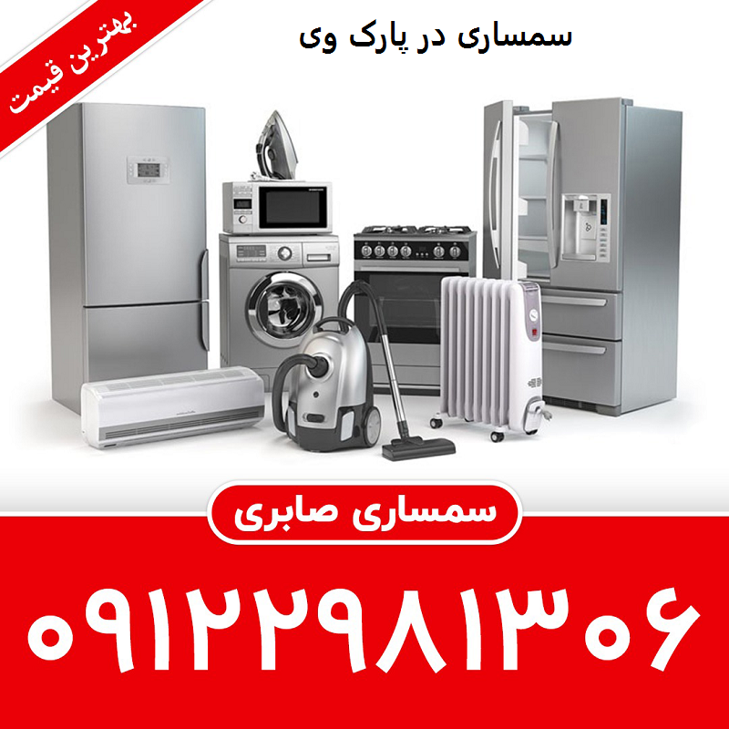 سمساری در پارک وی